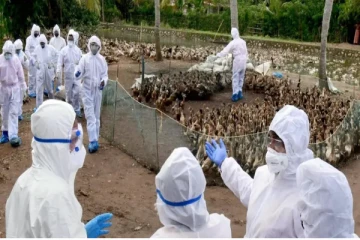 தீவிரமாக பரவும் நோய்! அவசரமாக கூடிய சுகாதார அமைச்சு