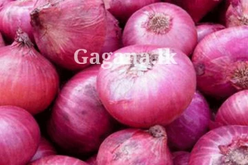 නැතුවම බැරි ලොකු ළුෑණු වලට ආයෙත් මොකක්ද මේ වෙන්න යන්නේ?..