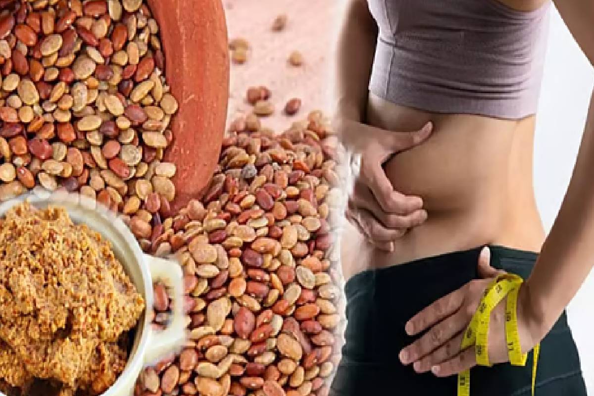 ஆரோக்கியத்தை காக்கும் கொள்ளு பருப்பு ; தினமும் ஏன் சாப்பிட வேண்டும் தெரியுமா? | Benefits Of Adding Dal To Your Daily Diet ஆரோக்கியத்தை காக்கும் கொள்ளு பருப்பு ; தினமும் ஏன் சாப்பிட வேண்டும் தெரியுமா? | Benefits Of Adding Dal To Your Daily Diet