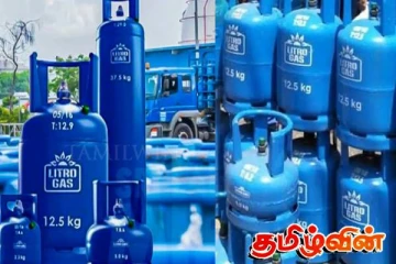 லிட்ரோ எரிவாயு நிறுவனம் தொடர்பில் வெளியான தகவல்