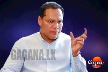 දයාසිරි ජයසේකර පොහොට්ටුවට පනිනවද?
