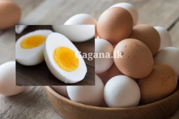 අනේ මන්දා.. පහළ ගිහින් සතියක් ගියෙ නෑ.. බිත්තරේට ආයෙම වුණ දෙය.. කාලත් හමාරයි?.