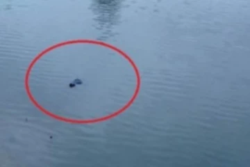குடும்பத்தில் ஏற்பட்ட தகராறு! உயிரை விட்ட பாடசாலை மாணவி