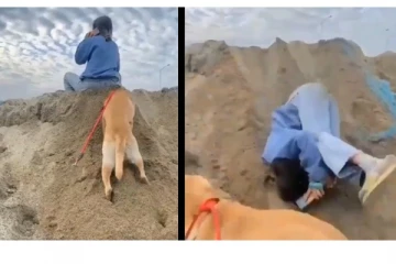 நாய் செய்த செயலால்... தலைக்குப்புற விழுந்த பெண்!