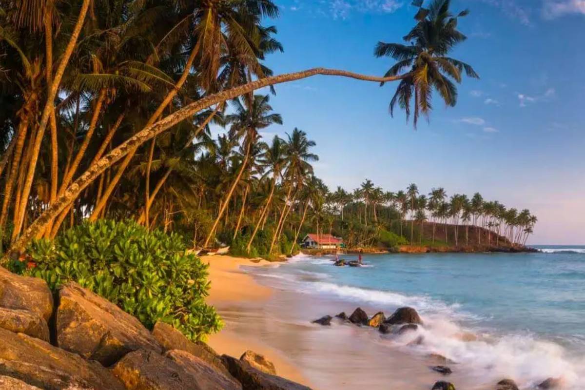 நிலாவெளி கடற்கரையில் குவிந்து கிடக்கும் கழிவுகள்: முகம் சுழித்து வெளியேறும் சுற்றுலா பயணிகள் | Garbage Piling Up On Nilaveli Beach Tourists நிலாவெளி கடற்கரையில் குவிந்து கிடக்கும் கழிவுகள்: முகம் சுழித்து வெளியேறும் சுற்றுலா பயணிகள் | Garbage Piling Up On Nilaveli Beach Tourists
