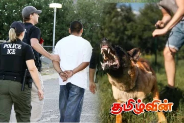 பிரித்தானியாவில் நாய் கடி தாக்குதலில் 6 பேர் படுகாயம்