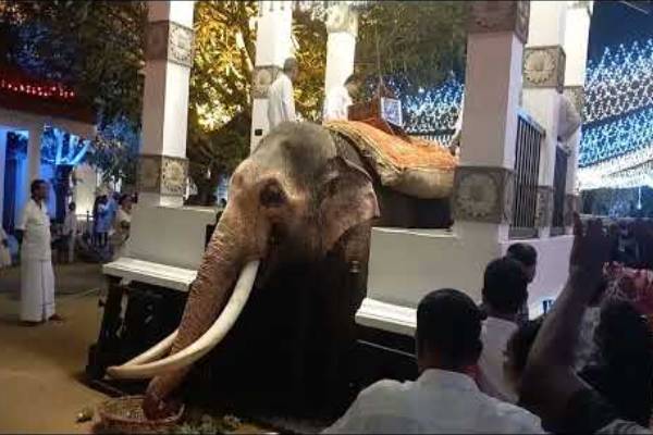 நீரை தேடி வரும் விலங்குகளை விஷம் வைத்து கொல்லும் கொடூரம் | Cruelty Of Poisoning Animals In Search Of Water