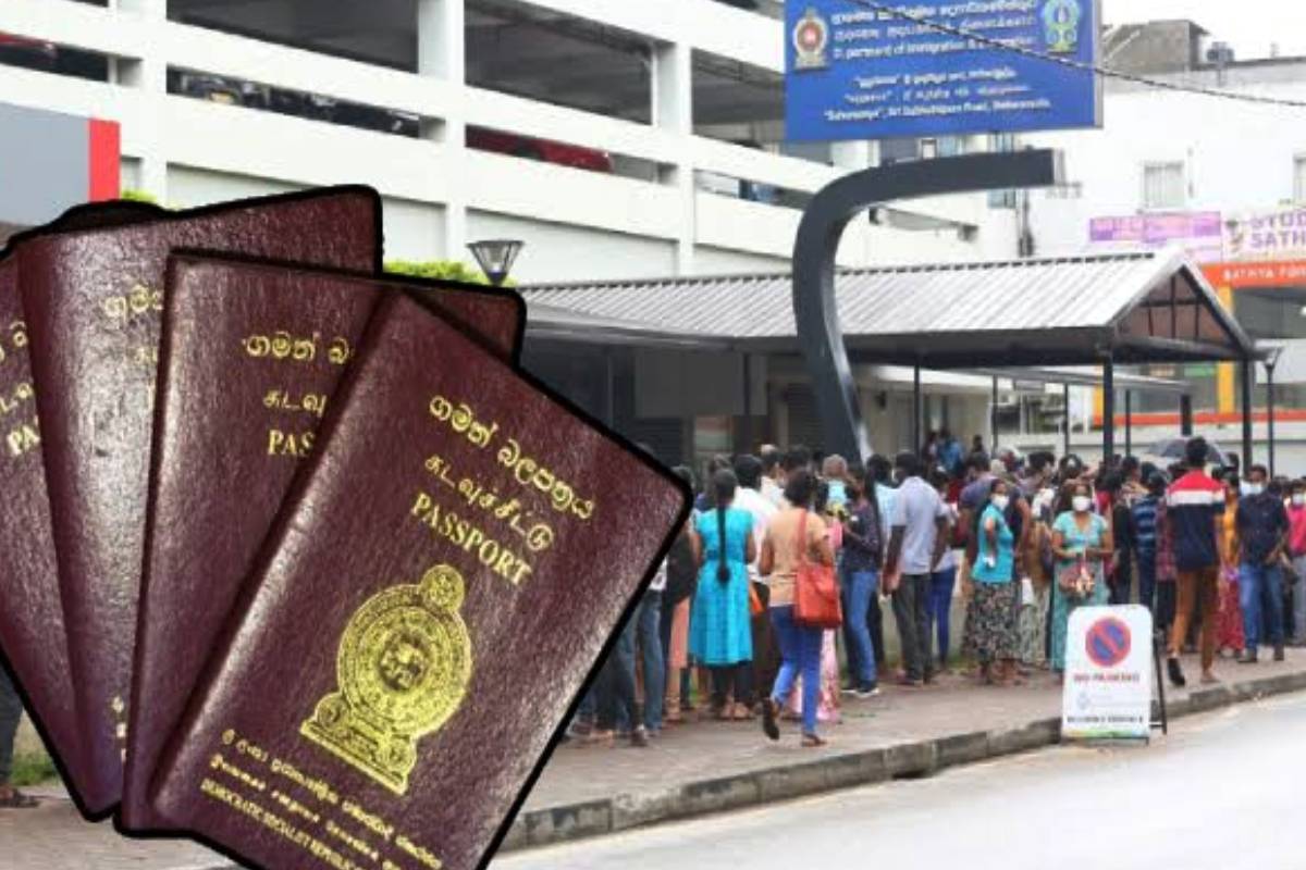 கடவுச்சீட்டு விநியோகம் தொடர்பில் வெளியான தகவல் | Massive Drop In Passport Supply Srilanka கடவுச்சீட்டு விநியோகம் தொடர்பில் வெளியான தகவல் | Massive Drop In Passport Supply Srilanka
