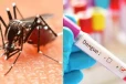 தீவிரமாய் பரவும் டெங்கு காய்ச்சல்; 391 பேர் பலி - பரிசோதனை மேற்கொள்ள அரசு வலியுறுத்தல்!