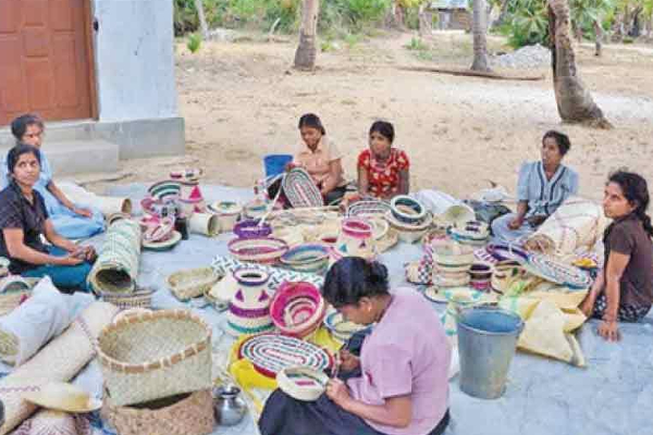 வடகிழக்கு பொருளாதாரமும் புலம்பெயர் தமிழர்களின் உதவியும்! | Sri Lanka Economic Crisis Structure Tamil Diaspora