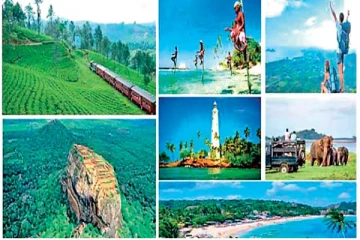 இலங்கையில் அதிகரித்து செல்லும் சுற்றுலாப் பயணிகளின் வருகை - 1.25 மில்லியனையும் தாண்டிய எண்ணிக்கை