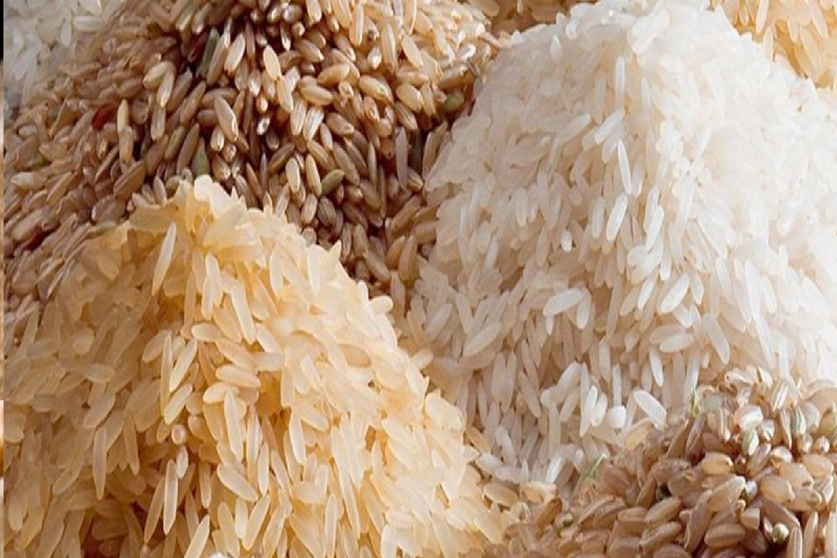 அரிசி இறக்குமதி தொடர்பில் முக்கிய தகவல் வெளியானது | Government Ready To Import Rice அரிசி இறக்குமதி தொடர்பில் முக்கிய தகவல் வெளியானது | Government Ready To Import Rice