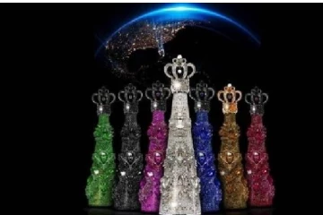 உலகில் மிகவும் விலை உயர்ந்த தண்ணீர் பாட்டில் - ஒரு லிட்டர் எவ்வளவு தெரியுமா ?