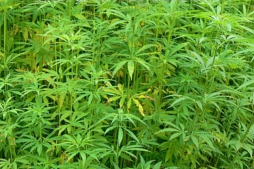 முன்னாள் விமானப்படை அதிகாரியின் வீட்டுக்குள் சிக்கிய பொருட்களால் பரபரப்பு