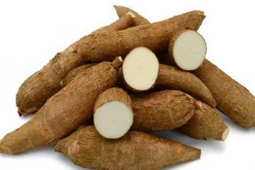 இலங்கையில் உச்சம் தொட்ட மரவள்ளிக்கிழங்கின் விலை