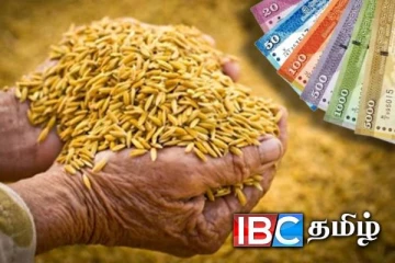 நெல்லுக்கான கொள்வனவு விலை நிர்ணயம் தொடர்பில் முக்கிய அறிவிப்பு