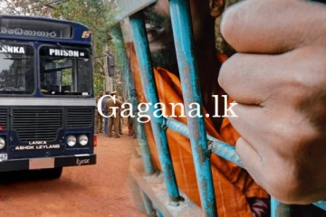 බන්ධනාගාරවල බෝ වන රෝග ව්‍යාප්තිය ඉහළ යාමට හේතුව හෙළි වෙයි.