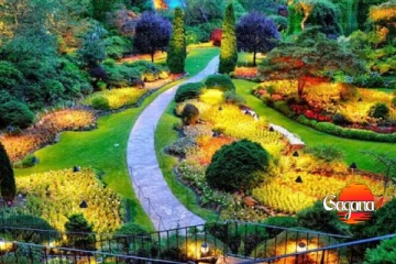 ට්‍රිප් යන ජනතාවට සුභ පණිවිඩයක්