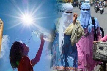 இந்த 7 மாவட்டங்களில் வெயில் அனல் காற்றுடன் சுட்டெரிக்கும்- வானிலை ஆய்வு மையம் எச்சரிக்கை