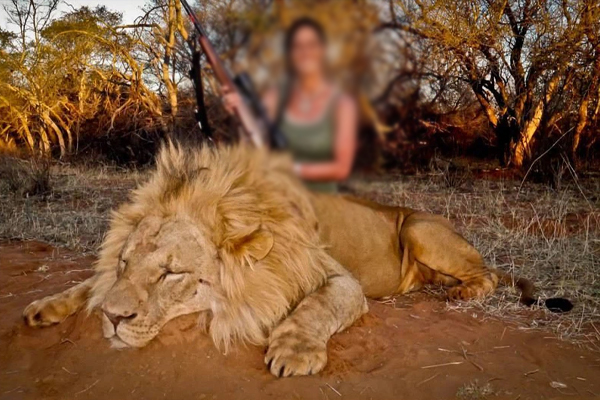 இலங்கையில் சட்டவிரோத வேட்டையாடுதல் அதிகரிப்பு | Illegal Hunting On The Rise In Sri Lanka இலங்கையில் சட்டவிரோத வேட்டையாடுதல் அதிகரிப்பு | Illegal Hunting On The Rise In Sri Lanka