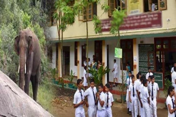 பாடசாலைக்குள் யானை புகுந்ததால் பதற்றம்