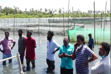 சீன நிறுவனத்தின் கடலட்டை வளர்ப்பு இடம்பெறும் பகுதியை   கஜேந்திரன் உள்ளிட்ட குழுவினர்  பார்வையிட்டனர்