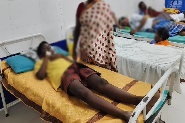 கொடூரமான பேருந்து விபத்து : 20 பேர் மருத்துவமனையில் | Horrific Bus Accident 20 People Hospitalized