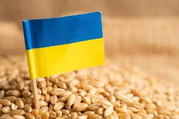 உக்ரைன் தானியங்கள் ஏற்றுமதிக்கு தயார்: களத்தில் குதிக்கும் முக்கிய நாடு