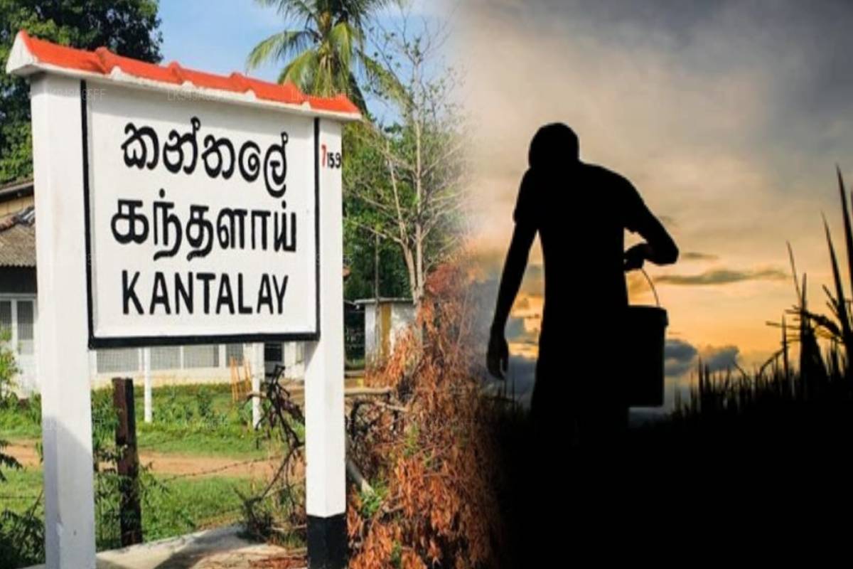 தமிழர் பகுதியில் அதிகரிக்கும் காட்டு யானை அட்டகாசம் - 43 வயது விவசாயிக்கு நேர்ந்த துயரம் | 43 Old Man Dies After Being Attacked By Elephant தமிழர் பகுதியில் அதிகரிக்கும் காட்டு யானை அட்டகாசம் - 43 வயது விவசாயிக்கு நேர்ந்த துயரம் | 43 Old Man Dies After Being Attacked By Elephant