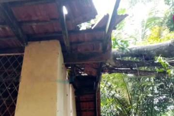 முறித்து வீழ்ந்த பலாமரத்தால் மாணவர்கள் 8 பேரின் நிலை