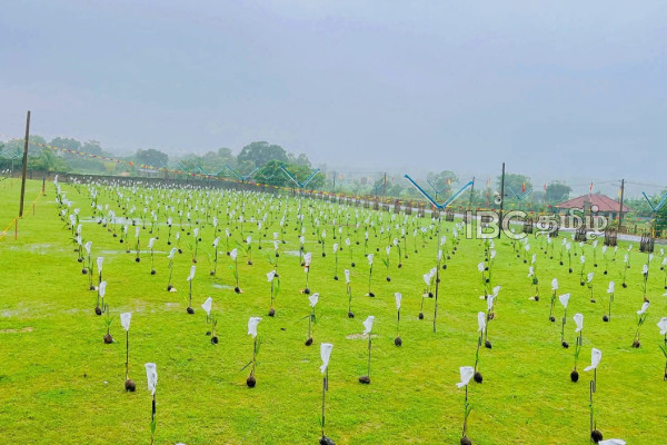 இயற்கையின் சீற்றத்துக்கு மத்தியிலும் மாவீரர் நினைவேந்தலுக்கு தயாராகும் தாயக மக்கள் | Northern People Preparing Maveerar Day இயற்கையின் சீற்றத்துக்கு மத்தியிலும் மாவீரர் நினைவேந்தலுக்கு தயாராகும் தாயக மக்கள் | Northern People Preparing Maveerar Day