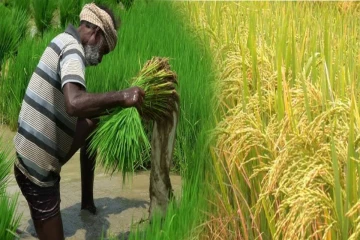 இன்னும் 15 நாட்களில் கவனயீர்ப்பு பேரணி - ஜனாதிபதிக்கு கையளிக்கப்படவுள்ள மனு