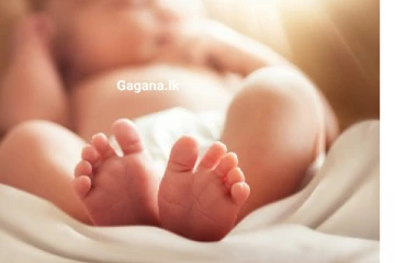 දින 28 පුංචි මල් කැකුලට දිවි අහිමි කළ මව්කිරි..