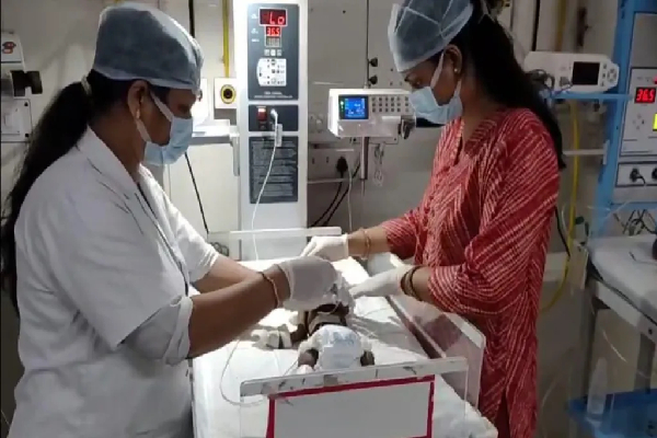 இந்தியாவில் கொடூரம் :பிறந்த பெண் குழந்தை உயிருடன் புதைப்பு | Newborn Baby Buried Alive In India