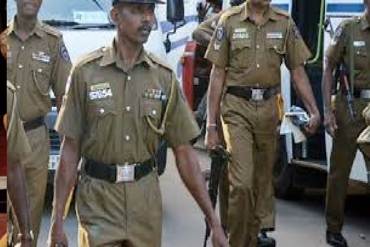 இந்தியாவிலிருந்து யாழிற்கு படகில் வந்த கஞ்சா : பதுங்கியிருந்து பிடித்த காவல்துறை | Cannabis Brought To Jaffna By Boat From India