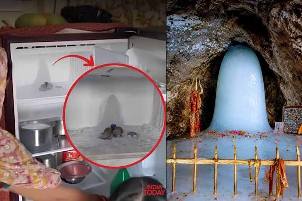 Fridgeல் சிவலிங்கம்: படையெடுக்கும் மக்கள் கூட்டம் | Sivalinga In Fridge Viral News Fridgeல் சிவலிங்கம்: படையெடுக்கும் மக்கள் கூட்டம் | Sivalinga In Fridge Viral News