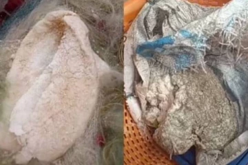 மீனவர்கள் வலையில் சிக்கிய அதிர்ஷ்ட பொருள் - இதன் மதிப்பு மட்டும் எத்தனை கோடி தெரியுமா?