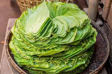 வெற்றிலை, பாக்கில் இத்தனை நன்மைகளா!