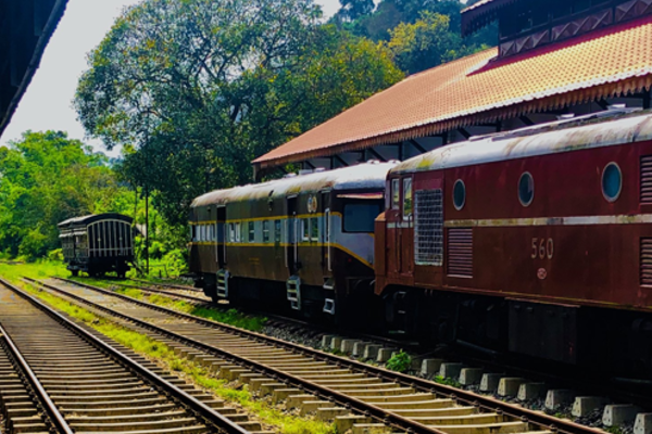 வவுனியா ரயில் நிலையத்திற்கு அருகில் இரவில் தீப்பிடித்து எரிந்த மரம் | Tree Set Ablaze Near Vavuniya Rail Station