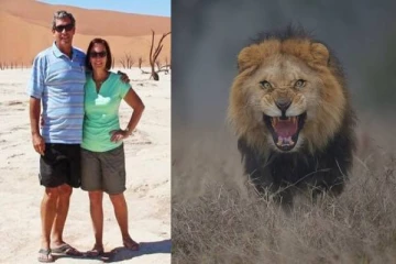 கழிப்பறை பயன்படுத்த சென்ற தொழிலதிபர் சிங்கம் தாக்கி உயிரிழப்பு