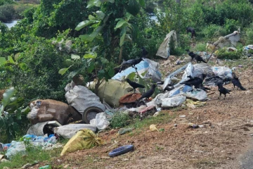 நாற்றமடிக்கும் யாழ்ப்பாணம் - காக்கைதீவு ; மக்கள் கோரிக்கை