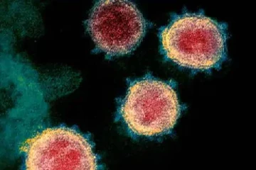 புதுக்கோட்டை மாணவர் சீனாவில் உயிரிழப்பு.. கொரோனா பாதிப்பா ?