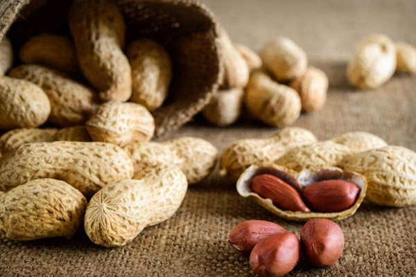 கொலஸ்ட்ரால் உள்ளவர்கள் வேர்க்கடலை உண்ணலாமா! | Can People With Cholesterol Eat Peanuts