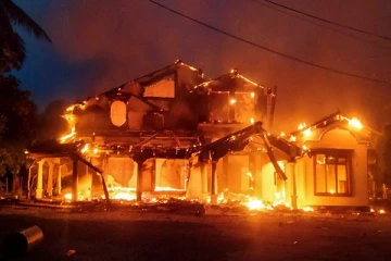 நாடாளுமன்ற உறுப்பினர்களின் வீடுகளை சேதப்படுத்திய பெண் கைது