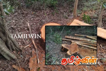 வவுனியாவில் மரக்கடத்தலில் ஈடுபடும் பொலிஸார் : பொதுமக்கள் முறைப்பாடு