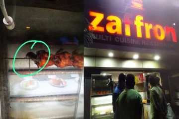 என்ன ஒரு டேஸ்ட்...இன்னைக்கி ஒரு பிடி - ஹோட்டலில் கிரில் சிக்கனை ருசி பார்க்கும் எலி