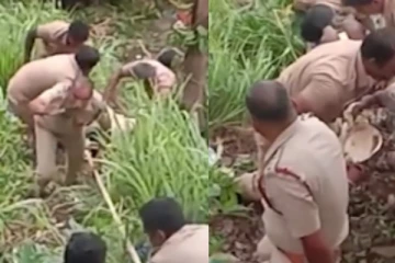 20 அடி பள்ள ஆழத்தில் விழுந்த நபர் - போராடி மீட்ட தீயணைப்புத்துறையினர்!