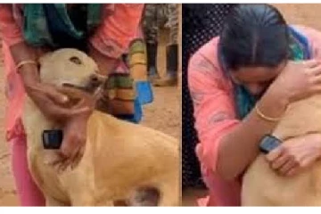 உரிமையாளரை தொலைத்த நாய்.. வயநாடு நிலச்சரிவில் ஒரு நாயின் பாசப்போராட்டம்!