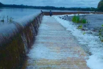 මවක් තම දරු දෙදෙනා සමග චන්ද්‍රිකා වැවට පනී - පස් හැවිරිදි දියණිය මරුට