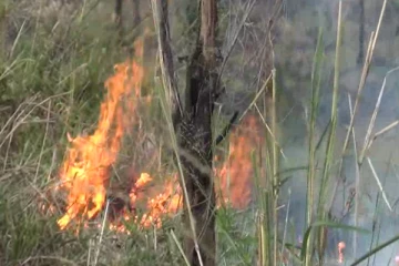 டெவோன் நீர்வீழ்ச்சிக்கு அருகாமையில் காட்டு தீ! (PHOTOS)